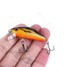 Fishing Lure 64 Piece Set - Fishing Accessory