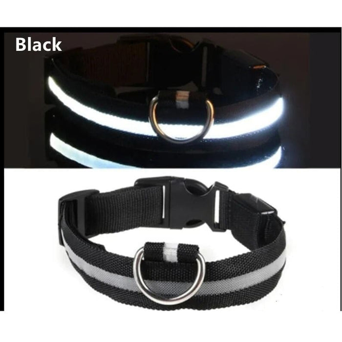 Xtreme Xccessories Rechargable LED Dog Collar